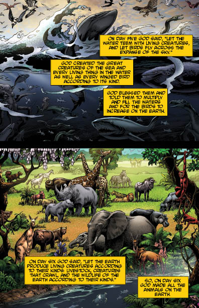 The Story - Kingstone Comics