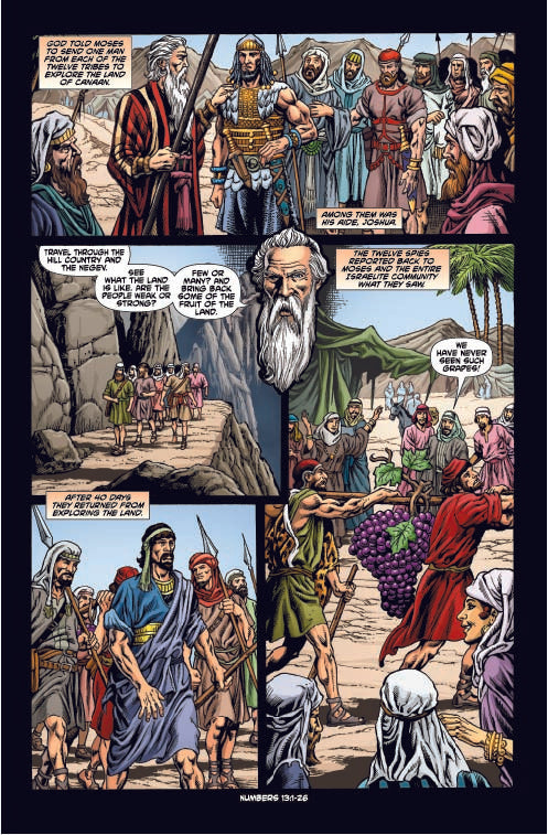Wilderness - Kingstone Comics