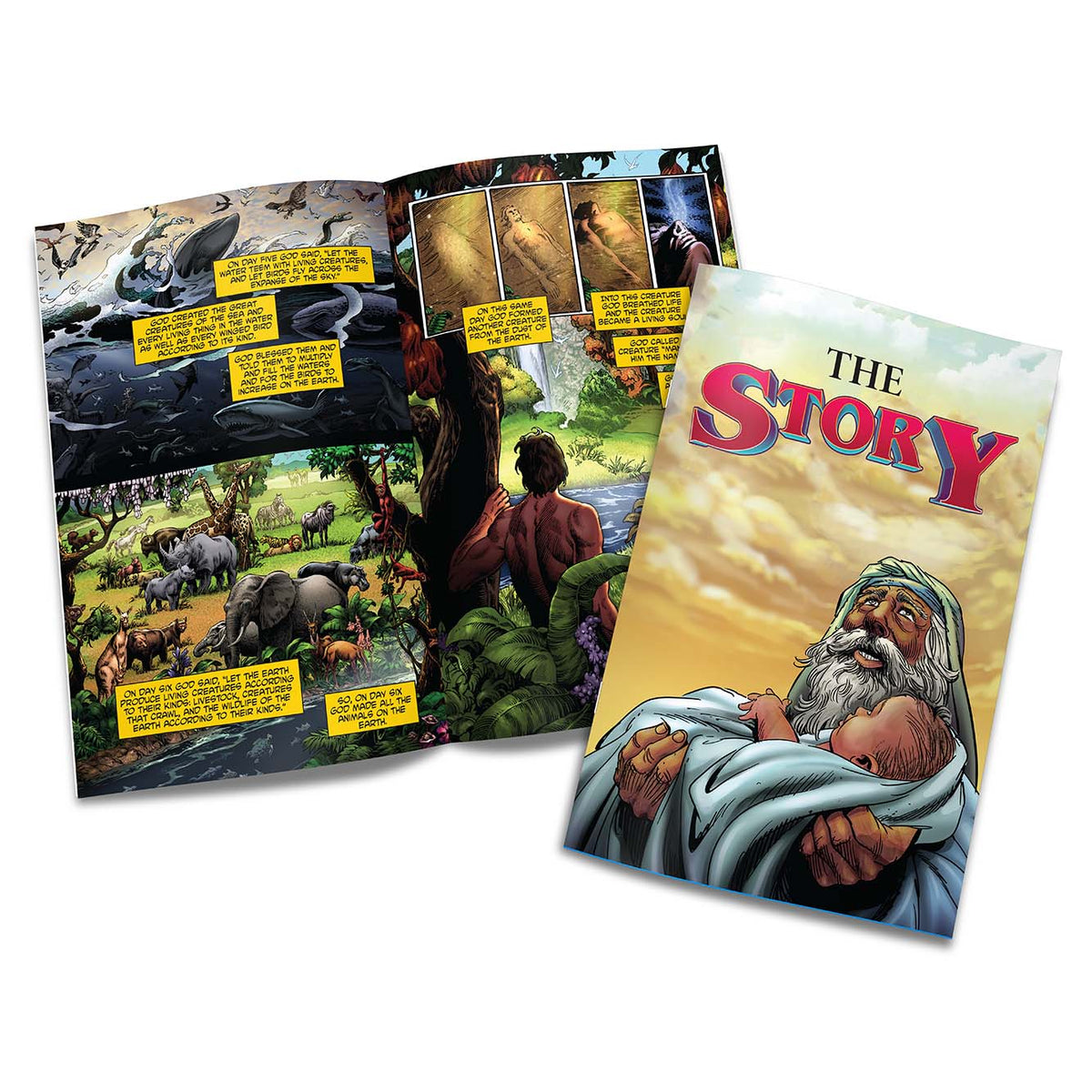 The Story - Kingstone Comics