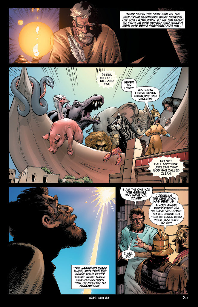 comic panel from "Acts: The Missionary"
