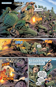 Stars and Stripes - A History of the U.S. Flag - Kingstone Comics